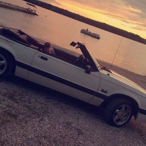 Meet your Posher, Heston